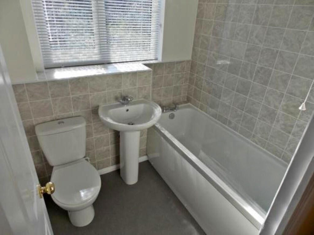 96668_49536917012...