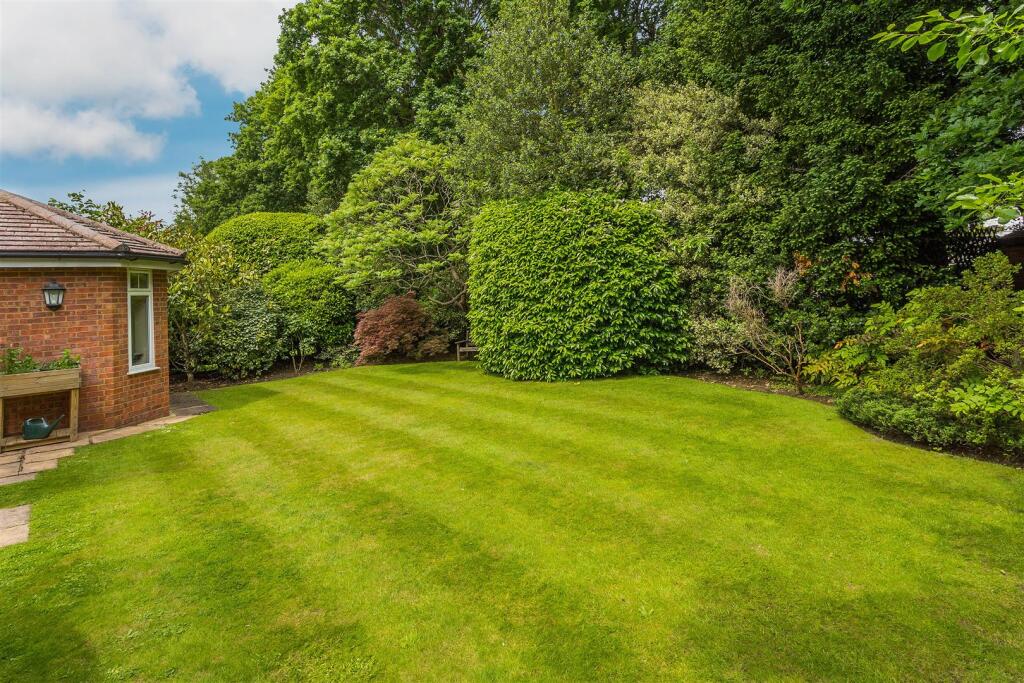 garden.jpg