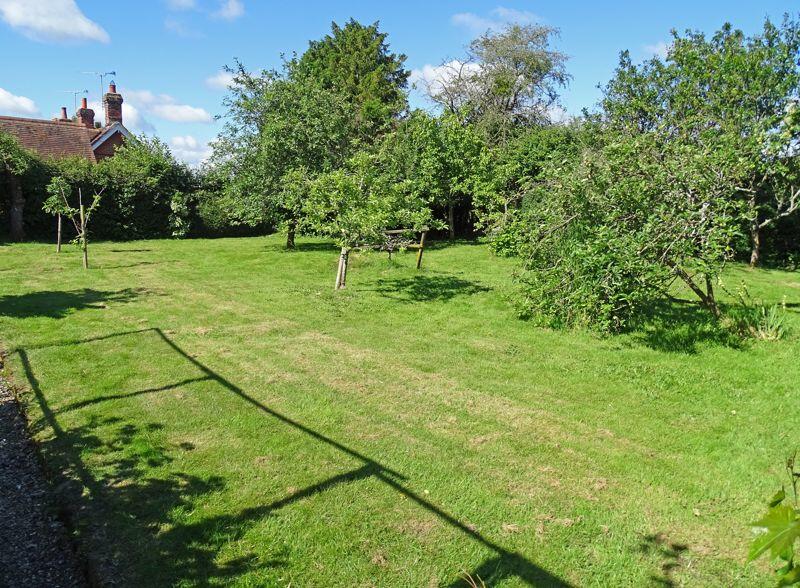 Orchard