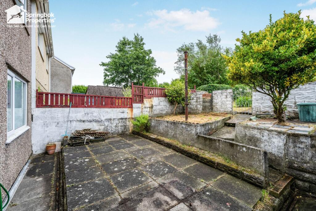 IMAGE 12