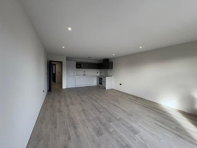 Kitchen/dining/living area
