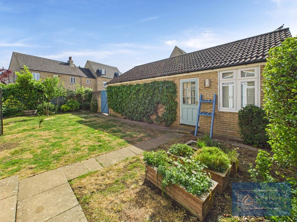 Back garden