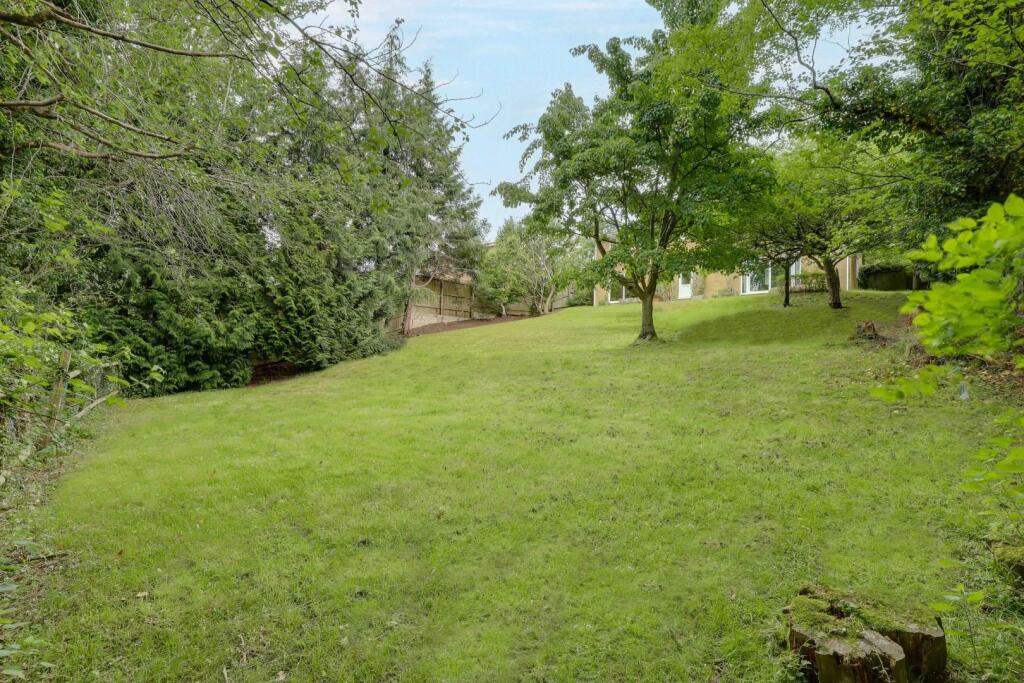 IMG_6991-IMG_6995 (1) copy.jpeg