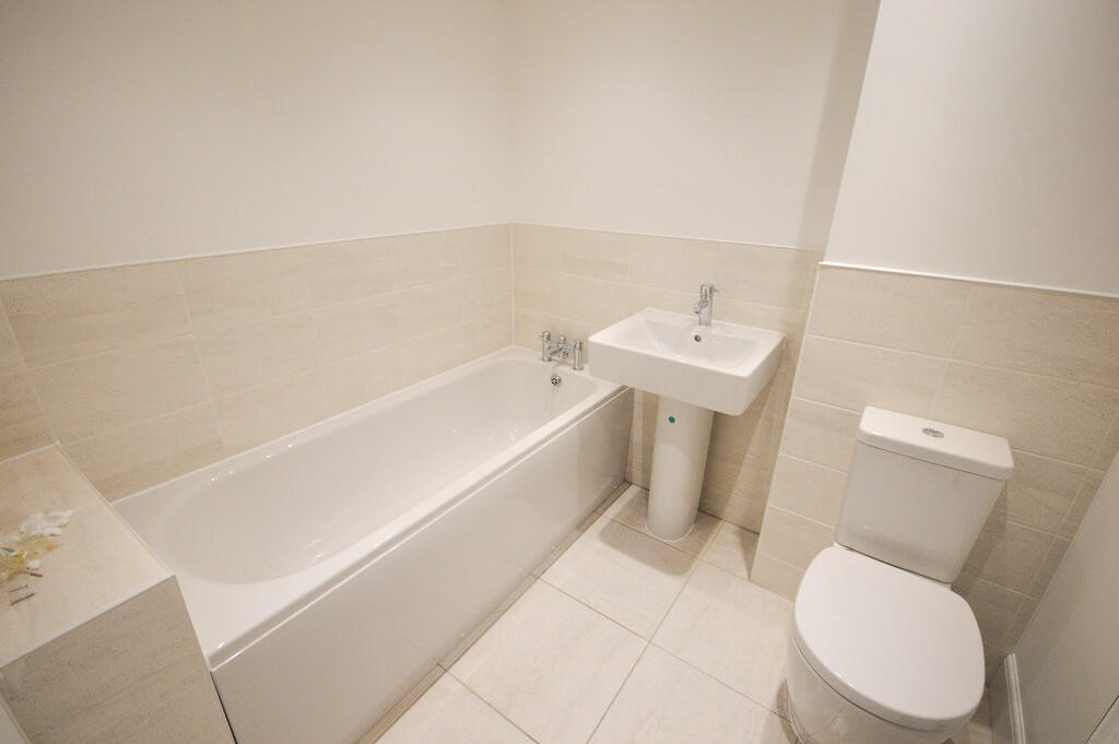 IMG_13690_7_large...