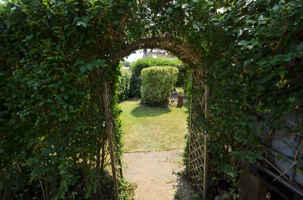 Tiverton, Seddons