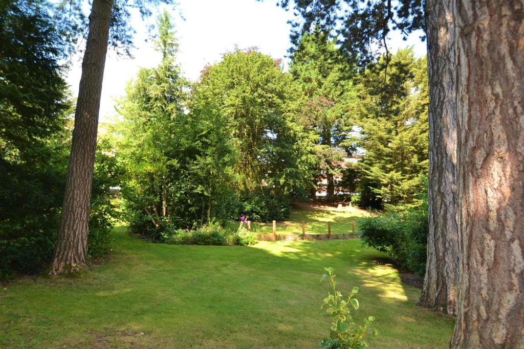 Communal Gardens 2.jpg