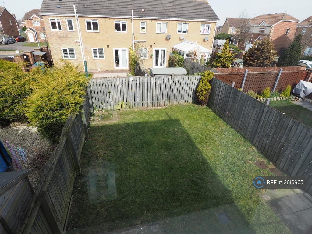 Back Garden