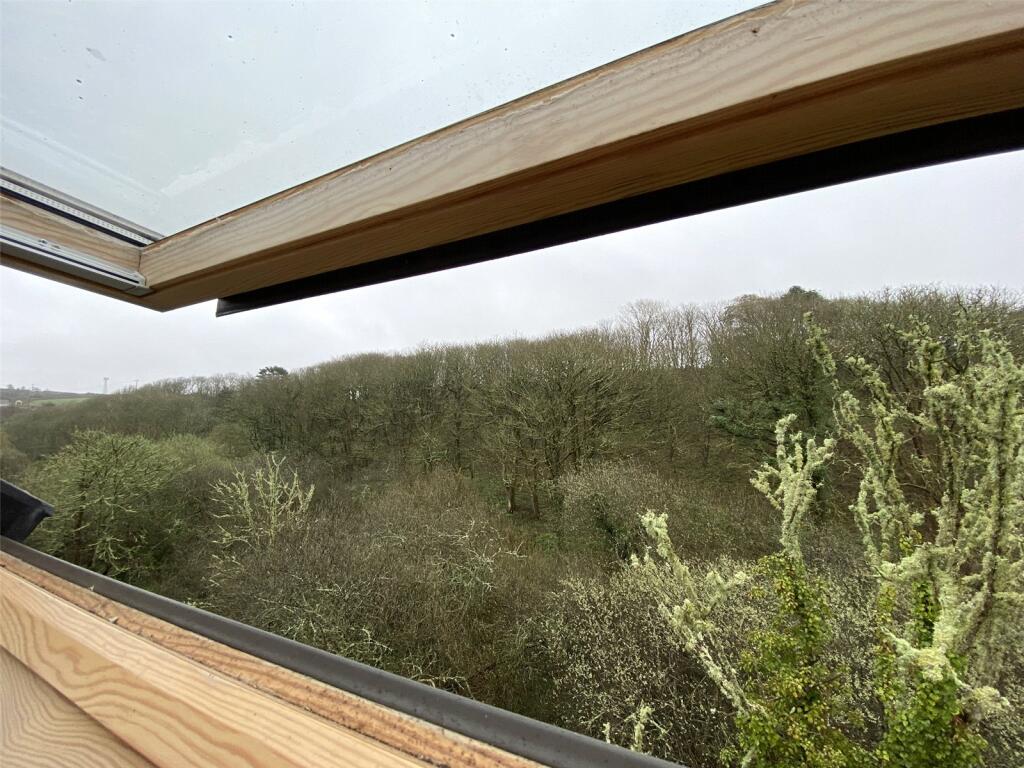 Woodland View