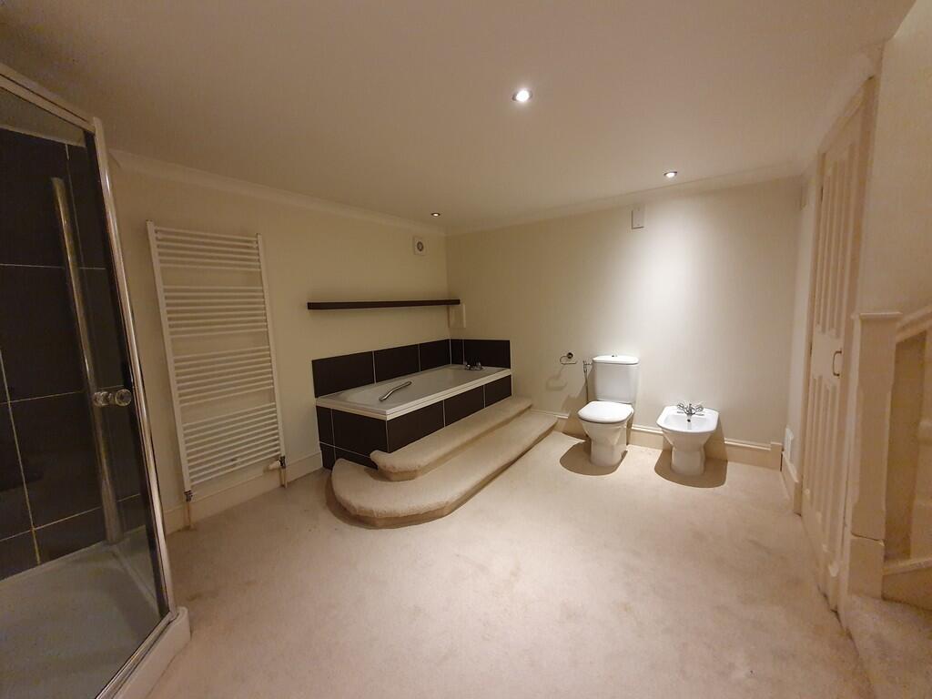 Downstairs Bathro...