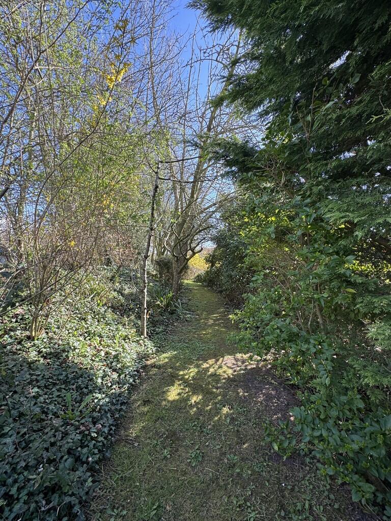 Woodland walk are...