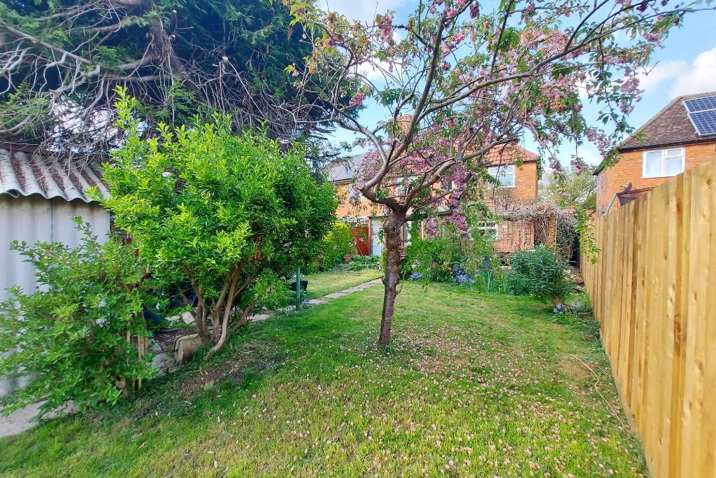 Garden (3) 