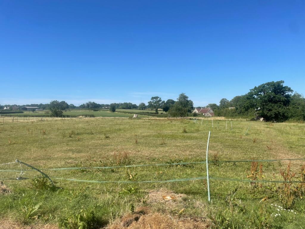 WhatsApp Image 2025-07-21 at 17.32.30