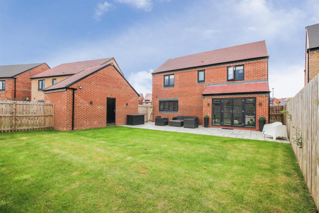Rear Aspect