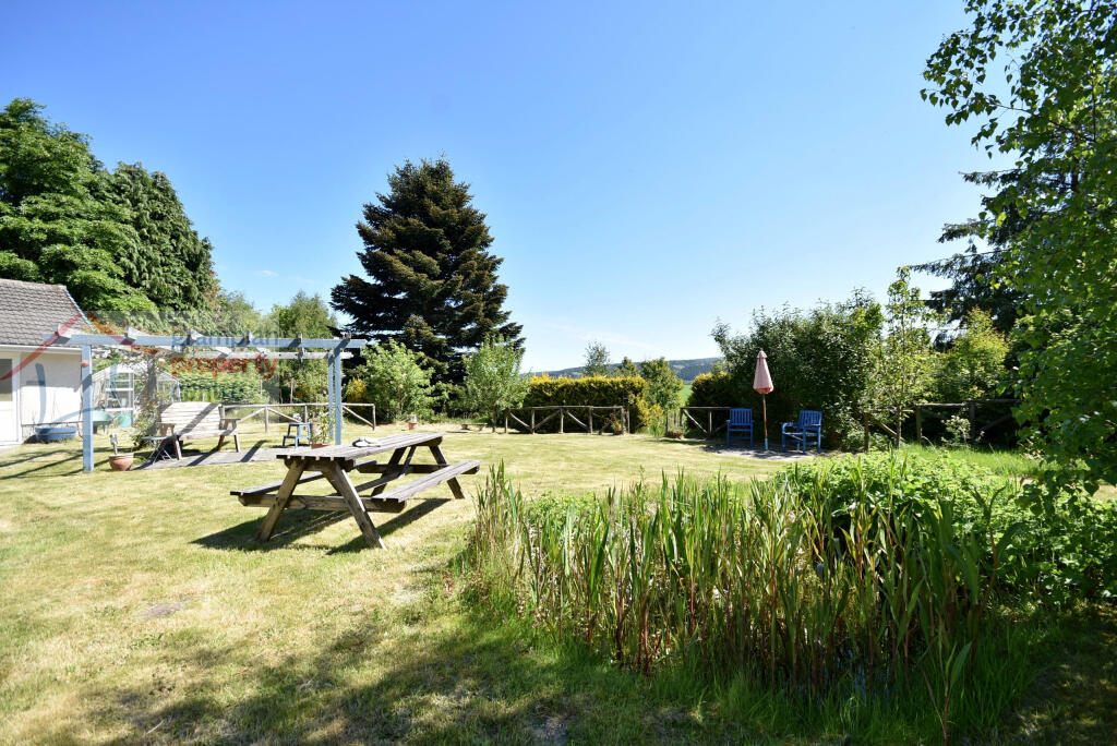 garden 2 .JPG