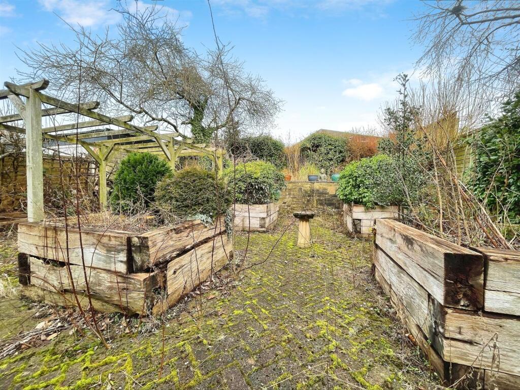 Back Garden