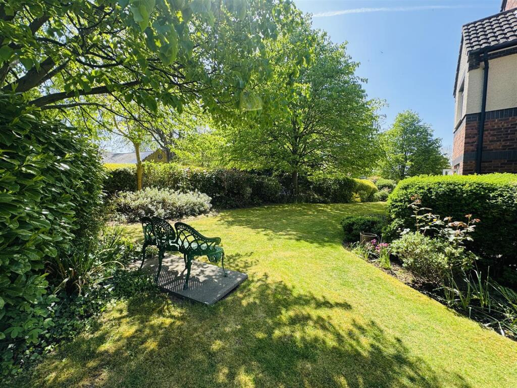 IMG_0928.JPEG