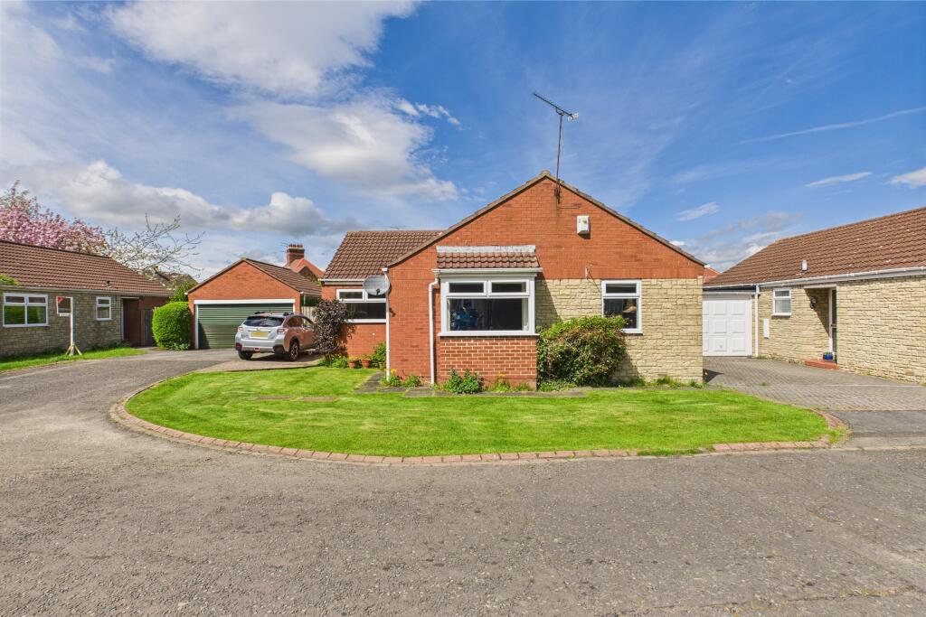 CAM04201G0-PR0077-STILL002