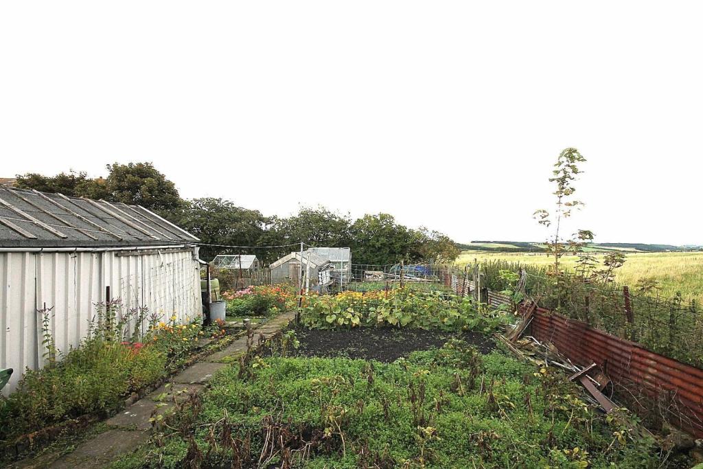 garden.jpg