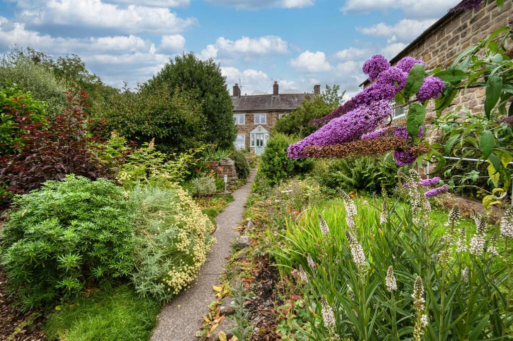 Front garden.jpg