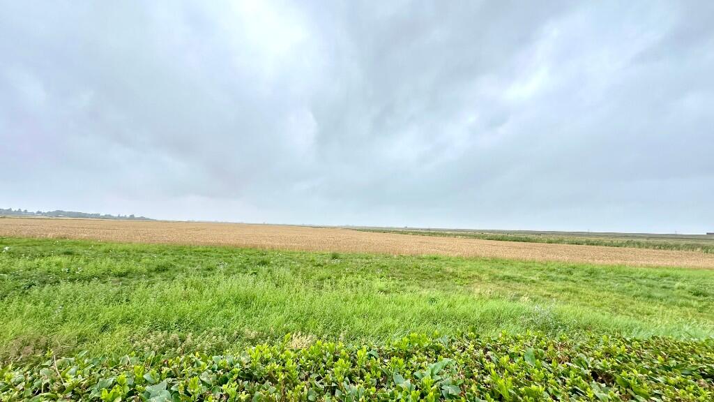 Countryside Views
