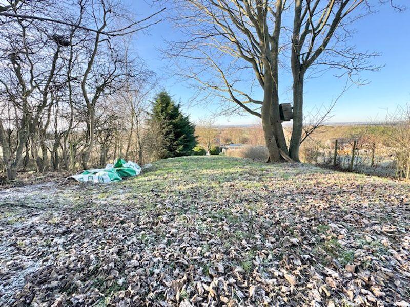 View from top of garden