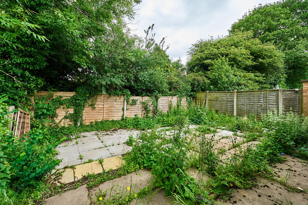 P1462306 T202505302112.jpg