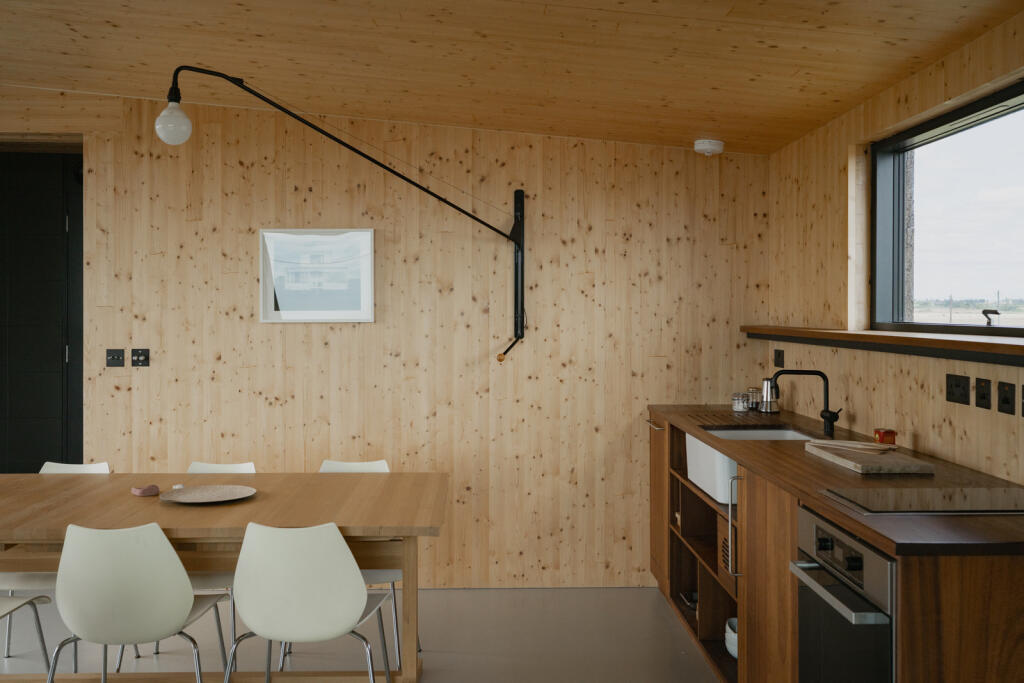 295227 - Redshanks, Lea on Sands-16.jpg