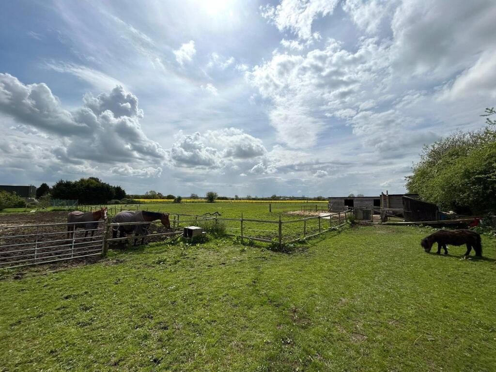 View From Site