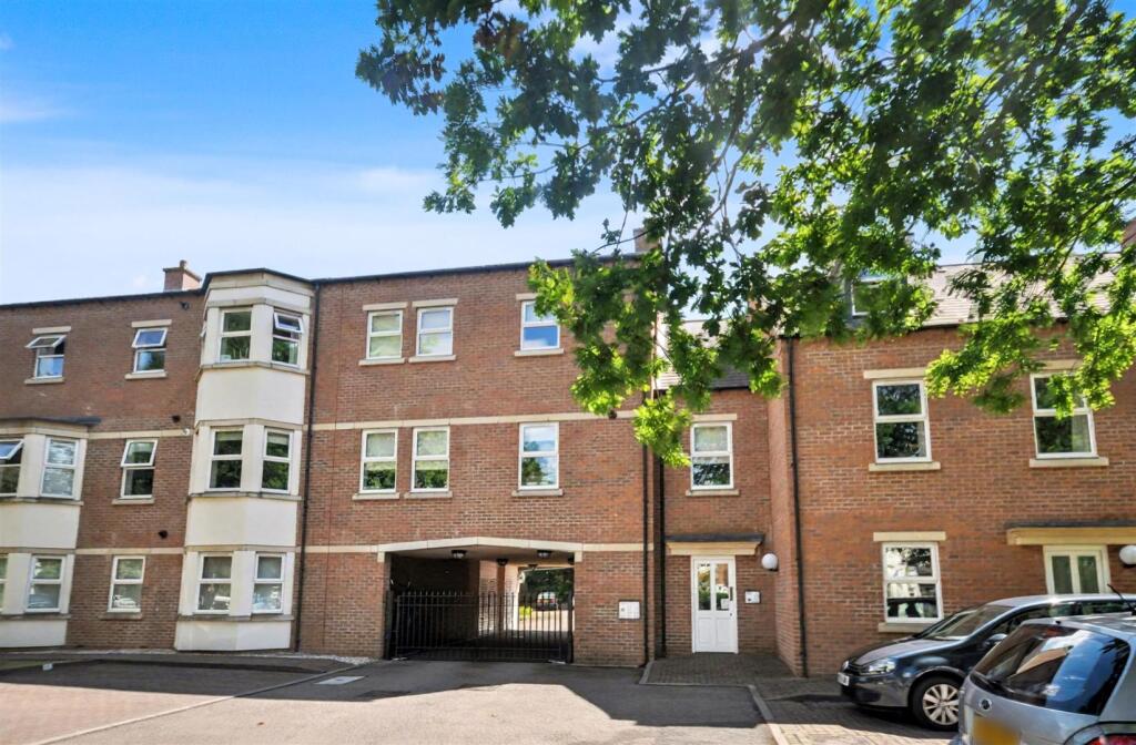 marketing photos 003.jpeg