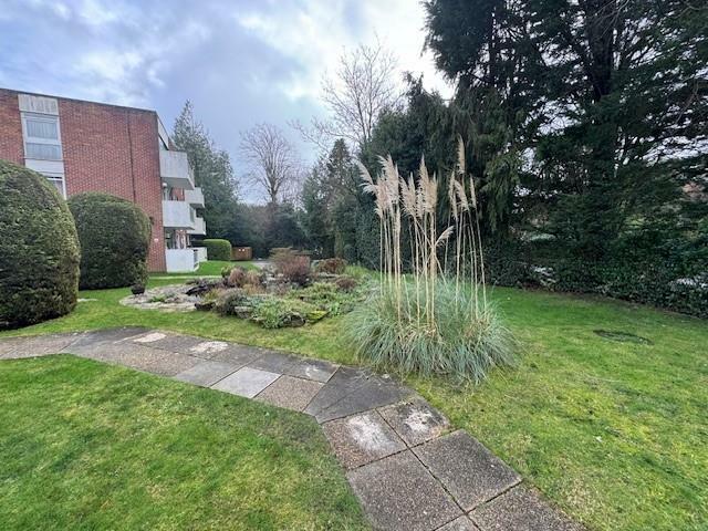 garden 2.jpg