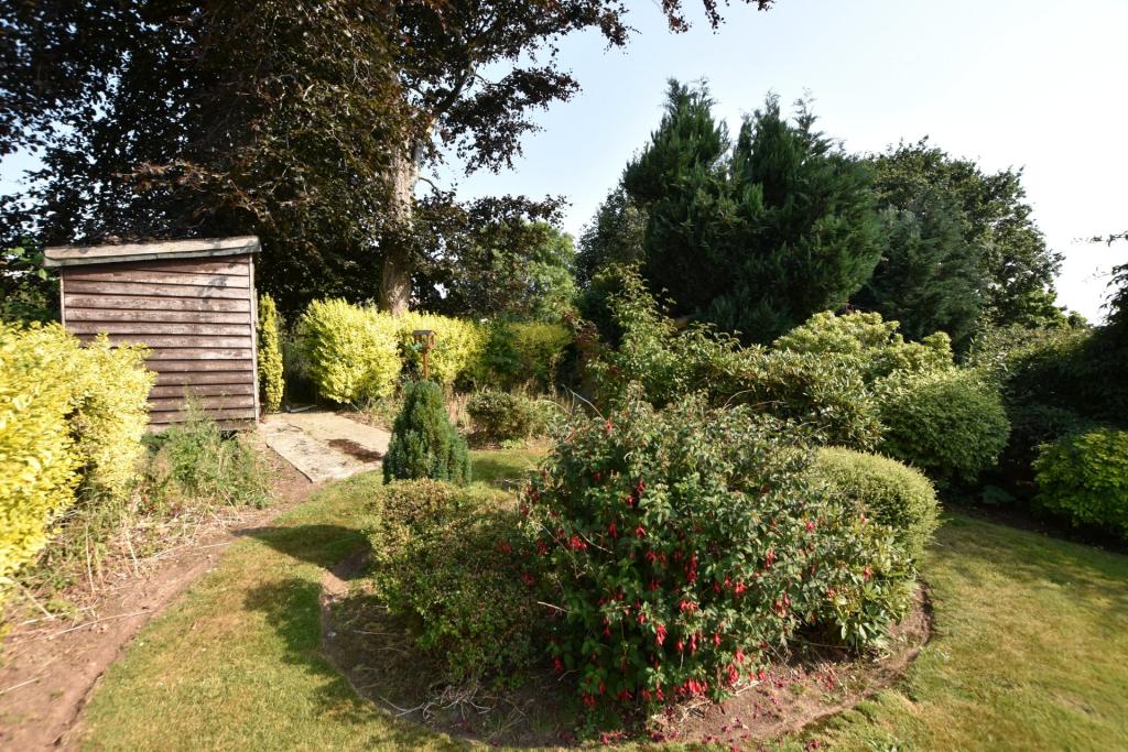Far End Of Garden