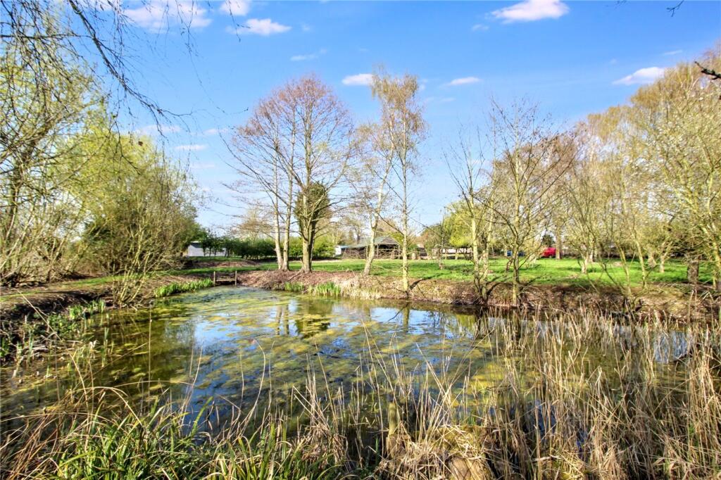 Pond