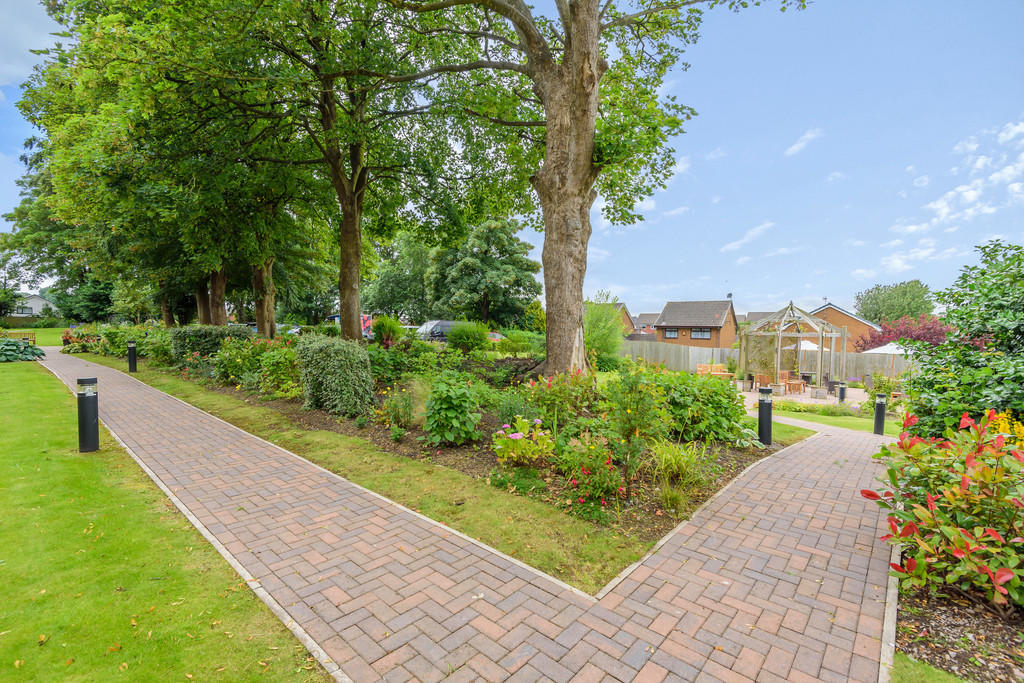 Communal Grounds