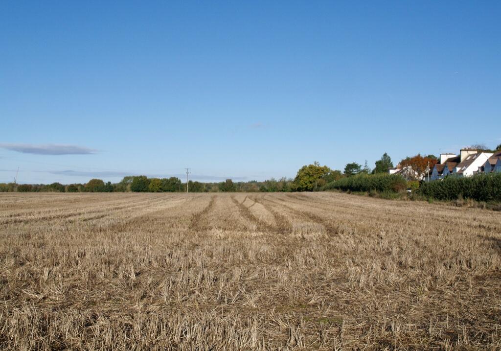 Fields opposite