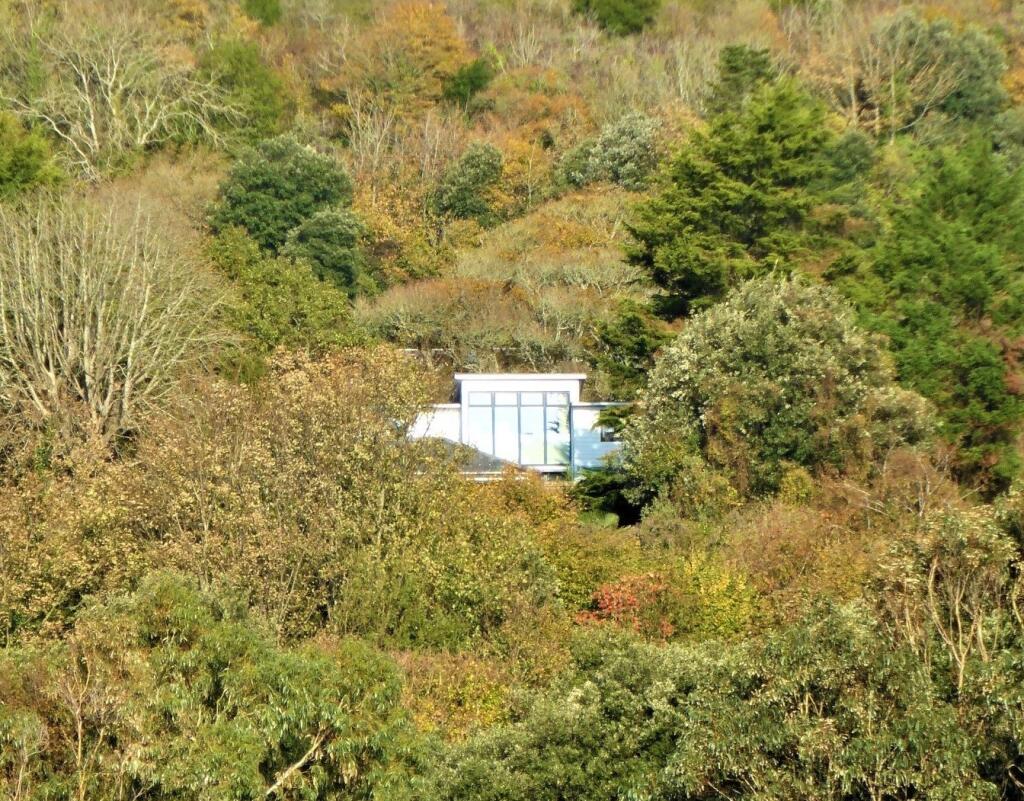 View From Botanical Gardens
