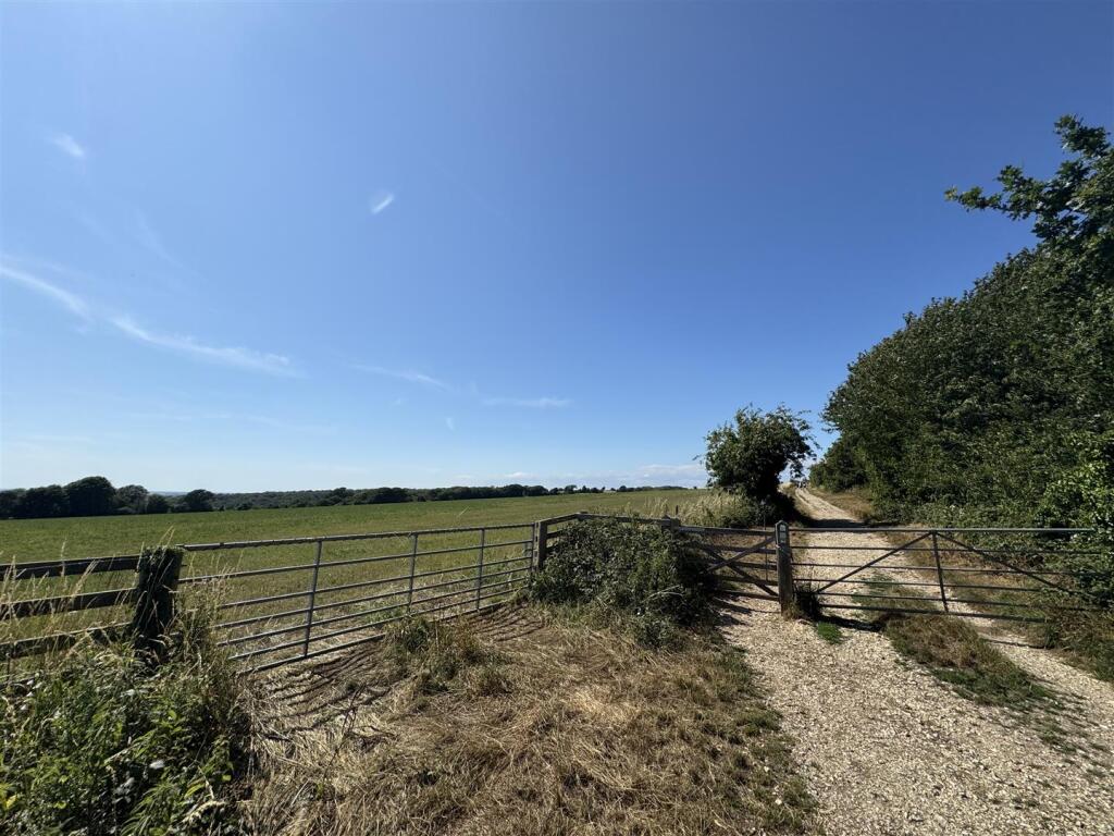 SOUTH DOWNS WALKING