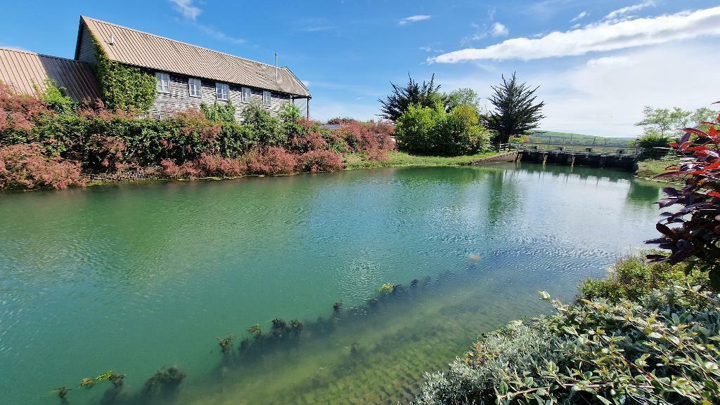 River + Downland View from Garden