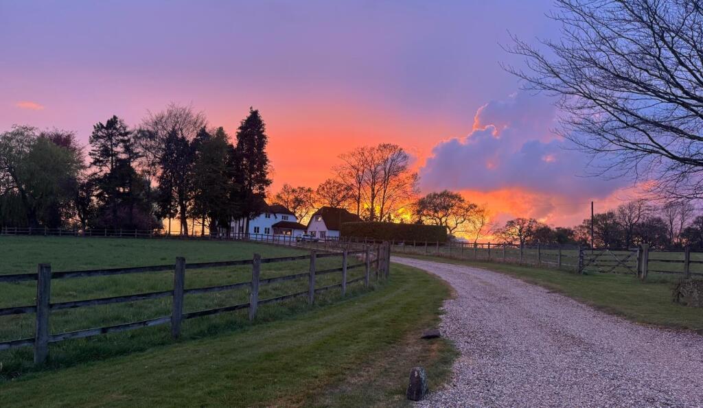 Sunset View