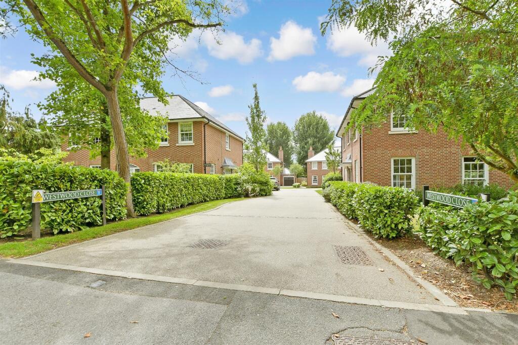 External Lifestyle Photograph