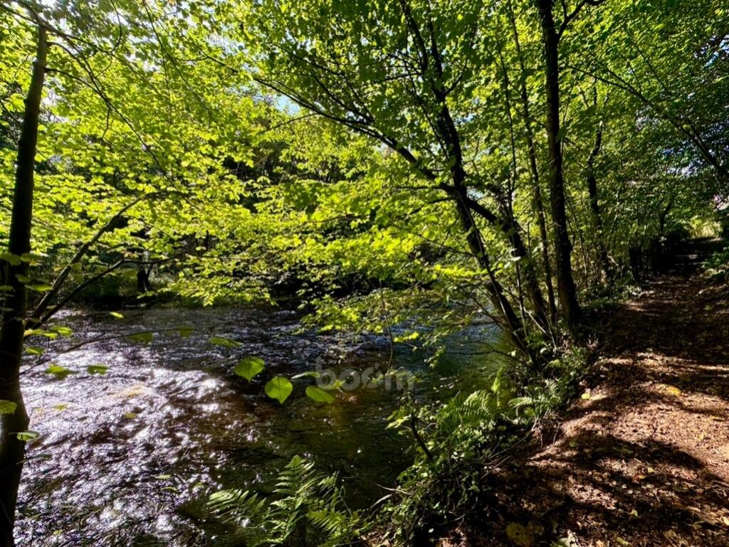 CA85BB5B-FD40-435B-8049-96C058437561_1_105_c