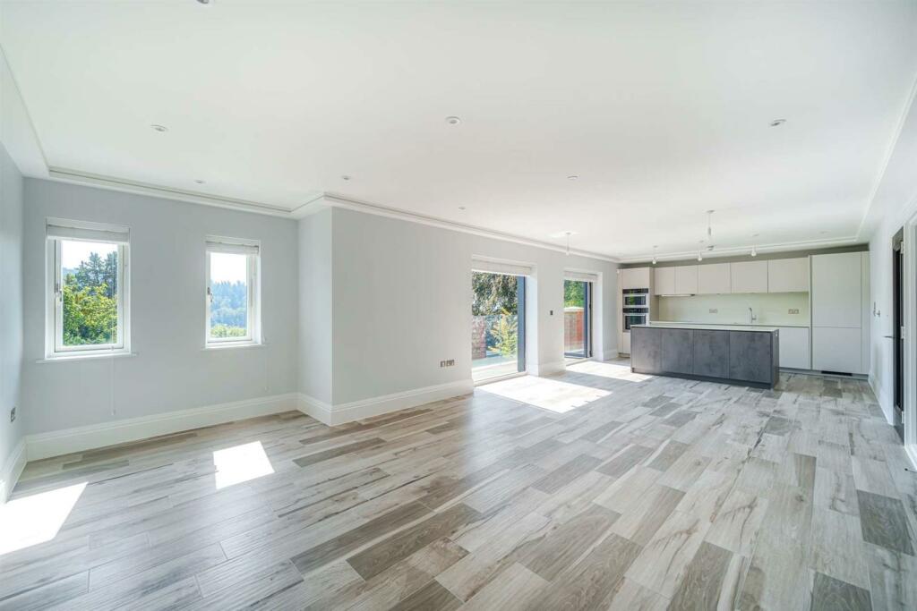 1031563 (2)-1920.jpg