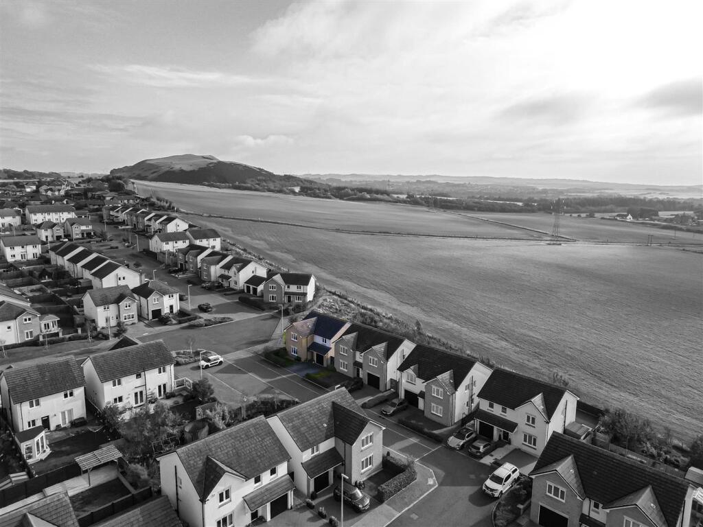 DJI_0779 3.jpg