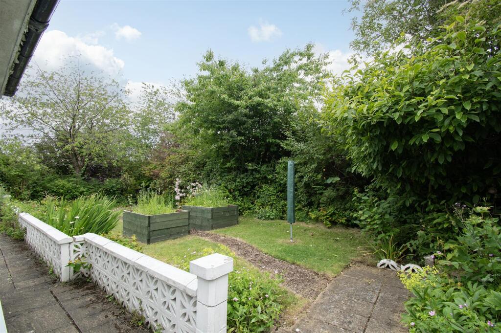 garden (1).jpg
