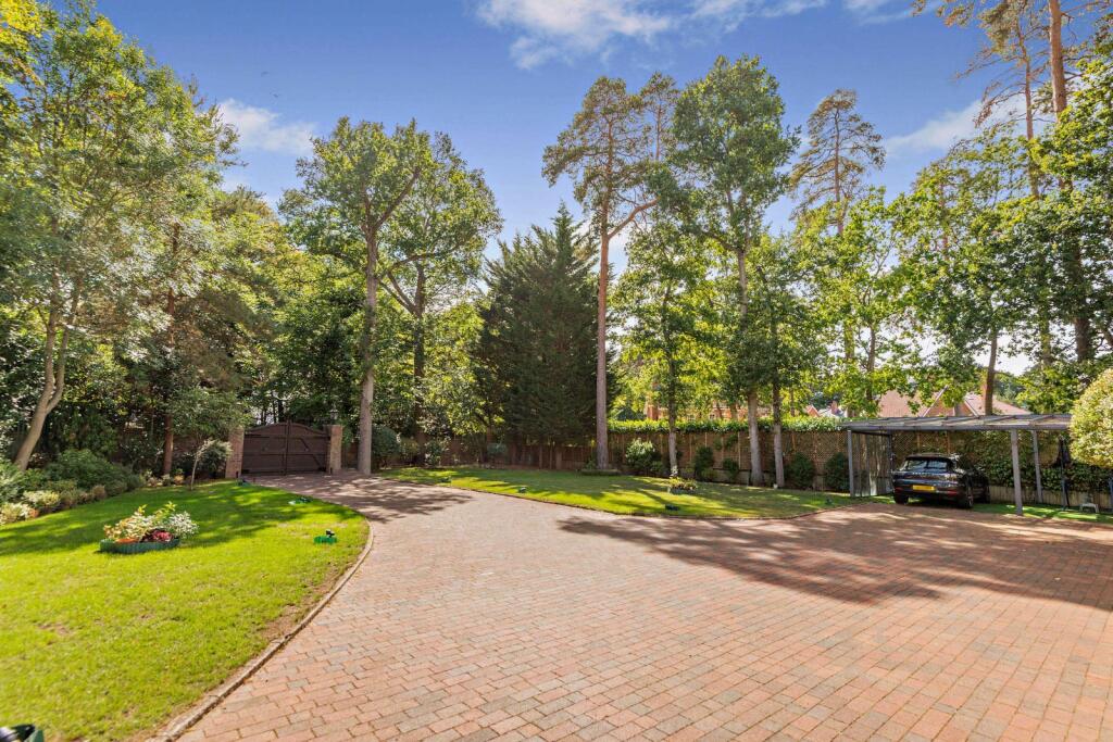 Front Garden &amp; Drive