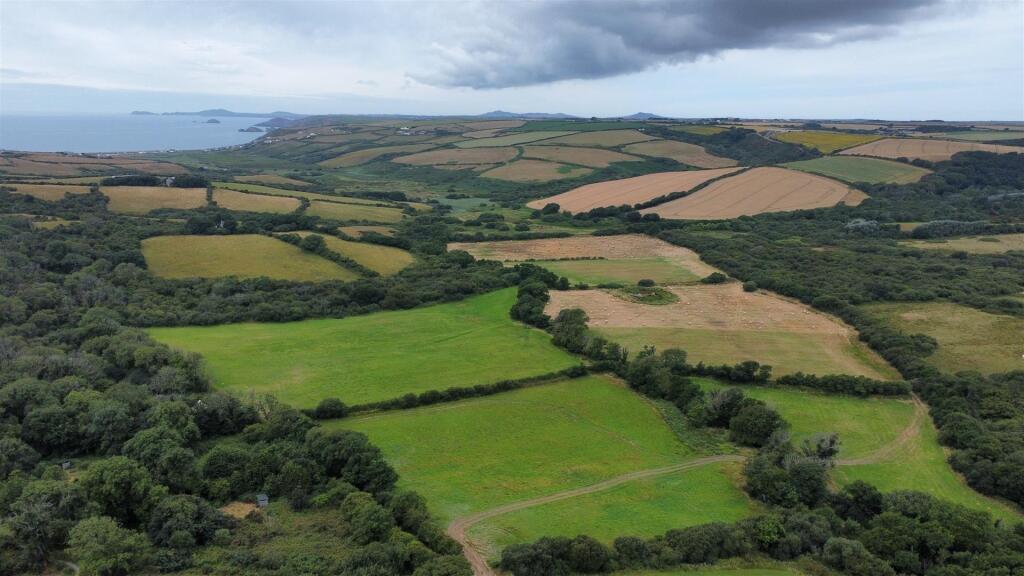 dji_fly_20250716_105834_462_1752659966138_photo_op