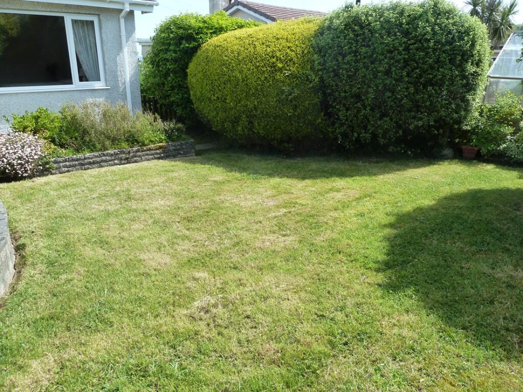 Sunny rear garden