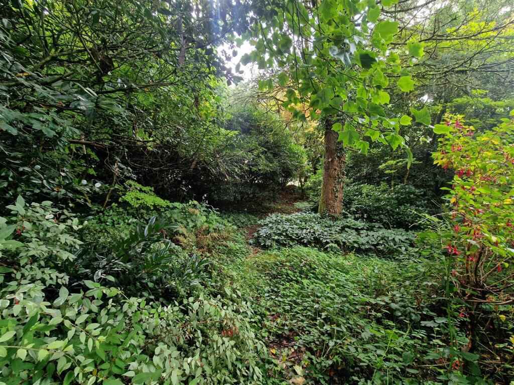Bottom of garden.jpg