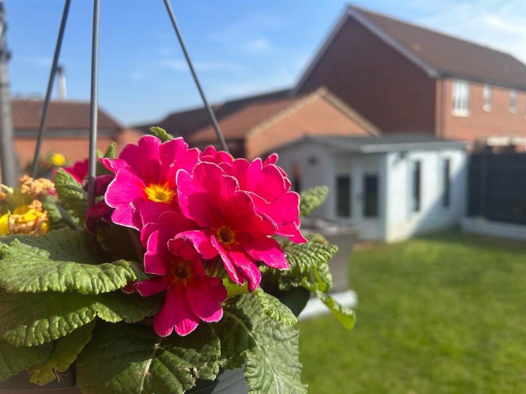 GARDEN