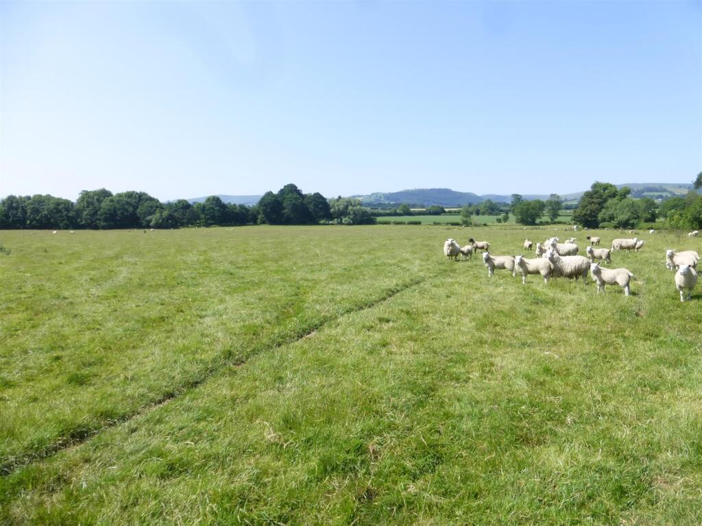 Lot 4