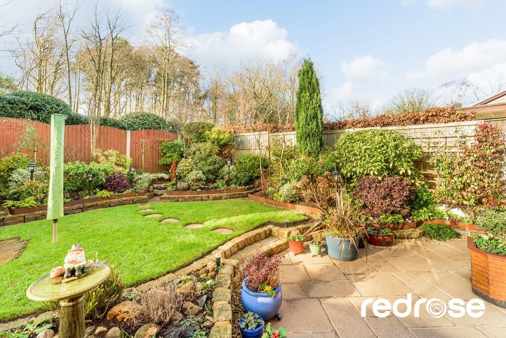 web_17 Cam Wood F...